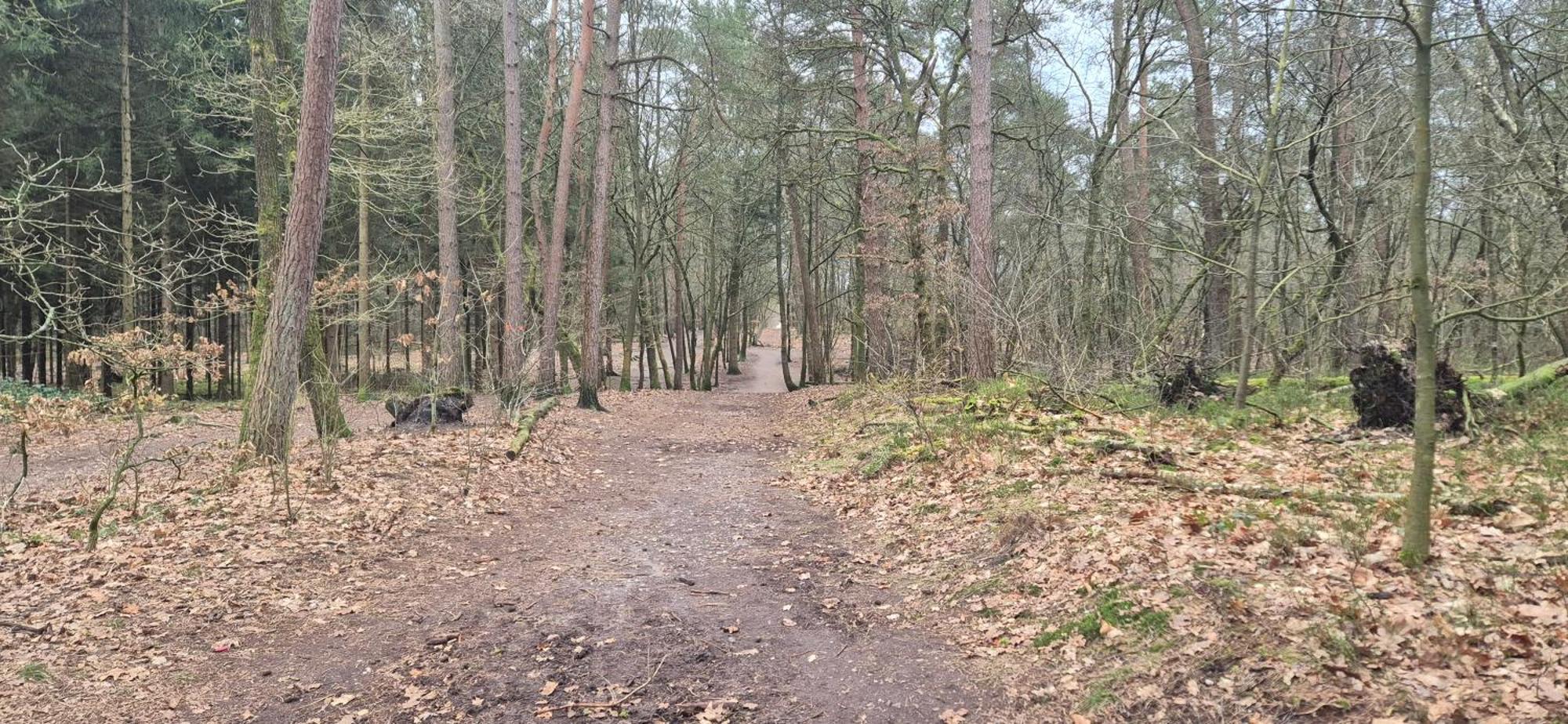 Het Veluwse Boshuisje Knus Chalet Met Omheinde Tuin Op De Veluwe Hoenderloo Eksteriør billede