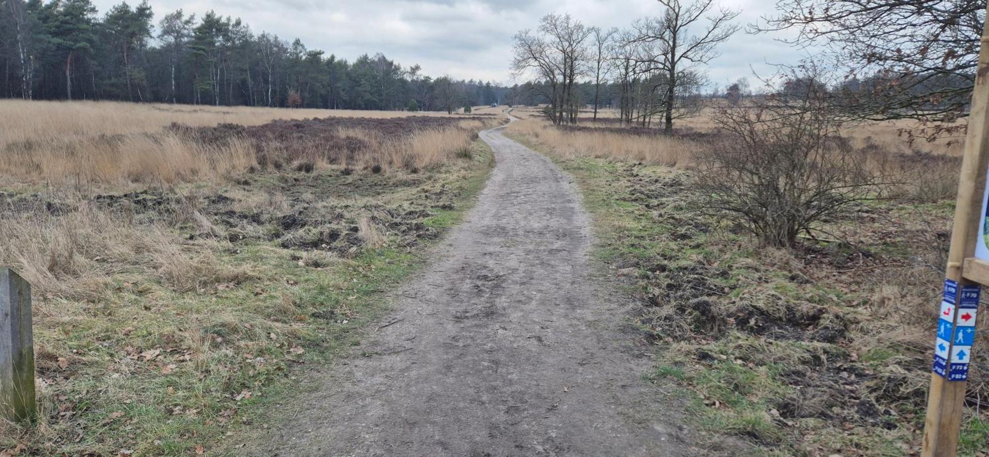 Het Veluwse Boshuisje Knus Chalet Met Omheinde Tuin Op De Veluwe Hoenderloo Eksteriør billede