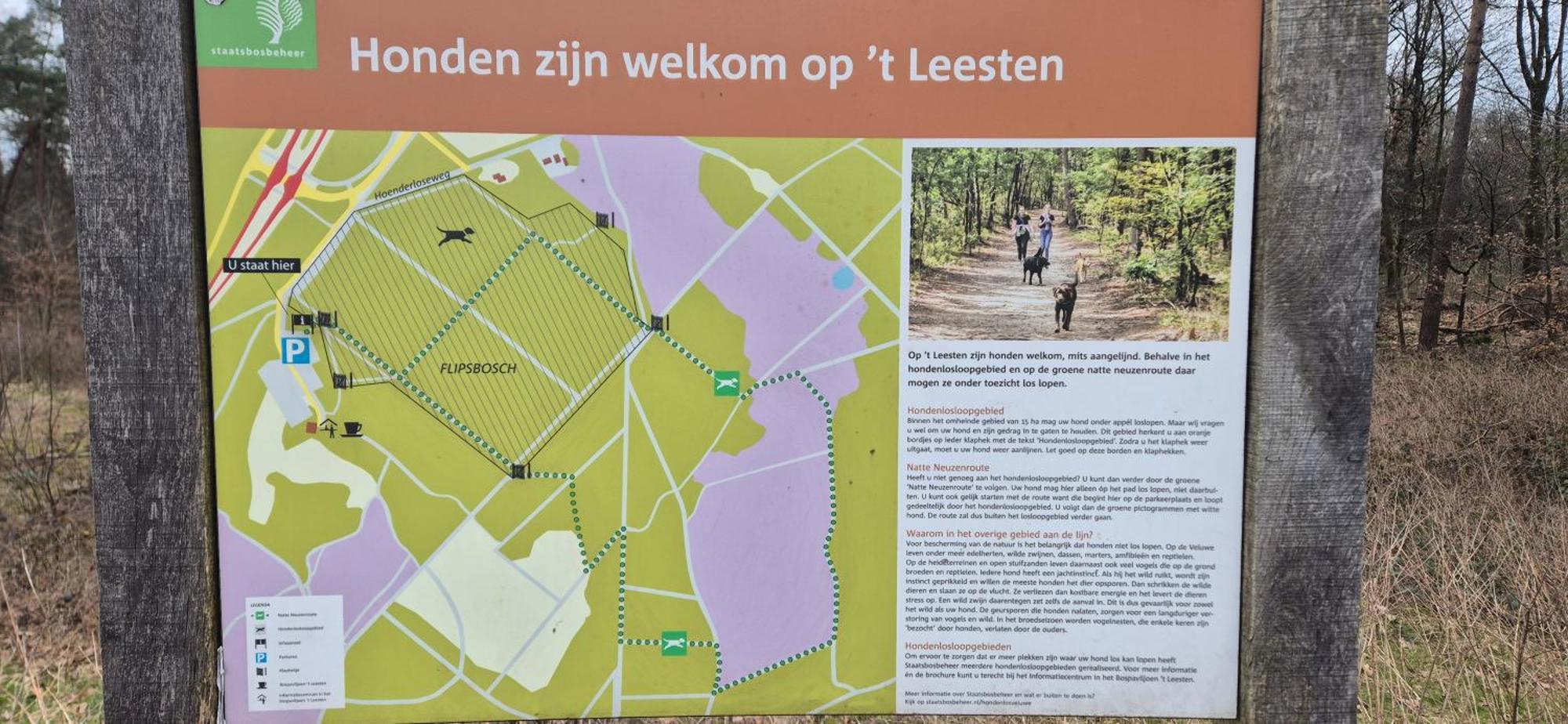 Het Veluwse Boshuisje Knus Chalet Met Omheinde Tuin Op De Veluwe Hoenderloo Eksteriør billede