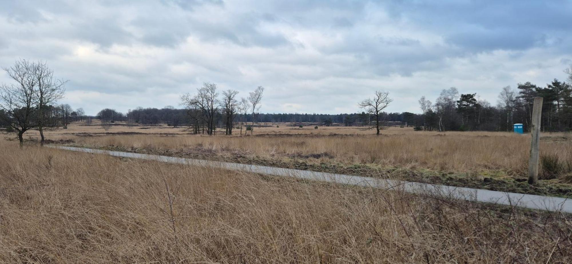 Het Veluwse Boshuisje Knus Chalet Met Omheinde Tuin Op De Veluwe Hoenderloo Eksteriør billede